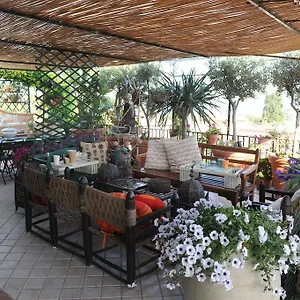 https://terrazza-pavone.catania-hotels.net